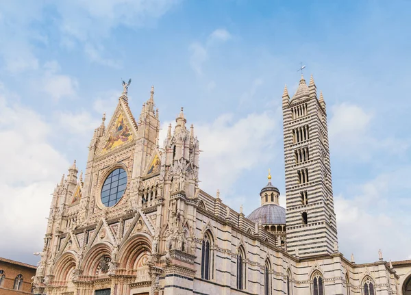 Catedral de Siena, Toscana, Itália com espaço de cópia no céu azul mediterrâneo — Fotografia de Stock