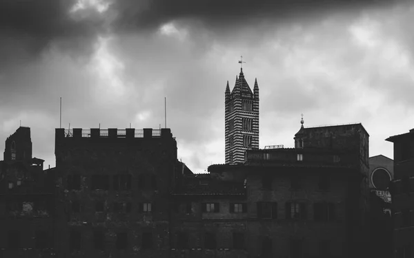 Siena Duomo, noir et blanc — Photo