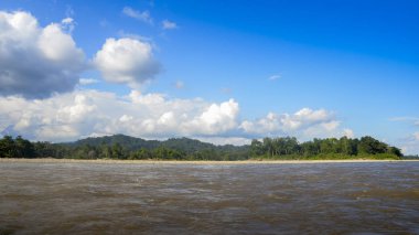 Panorama of River Napo in Ecuadorian section of the Amazonian rainforest clipart