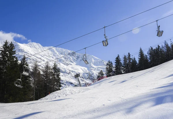 Telesiyej İtalyan Kayak alanı, kar kaplı Alpler ve çam ağaçları — Stok fotoğraf
