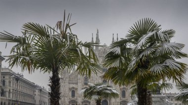 Palmiye ağaçları Piazza del Duomo Milan, Lombardiya - İtalya karla kaplı