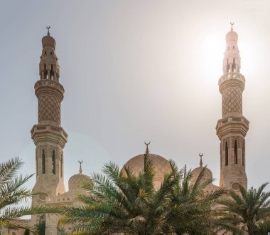 Cami ile palmiye ağacı Birleşik Arap Emirlikleri,
