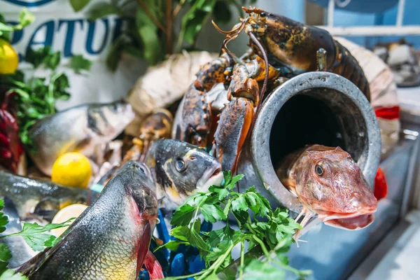 Fisk och skaldjur tallrik med en mängd olika typer av fisk på displayen på is på en restaurang — Stockfoto