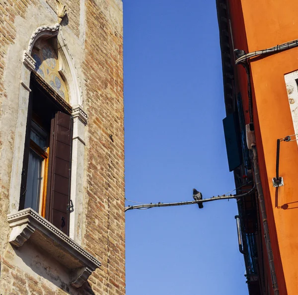 Pigeon sitting on a wire between two buildings in Venice, Italy. — Stock Photo, Image