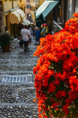 Merdiven Bellagio, Como Gölü, Lombardiya, İtalya ile pitoresk dar sokak