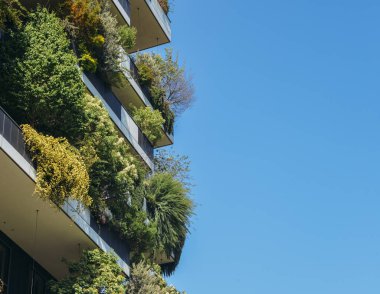 Bosco Verticale iki lüks konut kule Milans Porta Nuova bölgesinde yüzlerce ağaçlar ve balkon tesislerinde oluşan bir çift olduğunu
