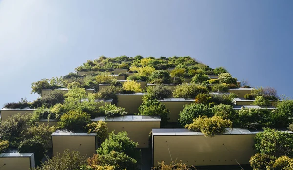 Bosco Verticale iki lüks konut kule Milans Porta Nuova bölgesinde yüzlerce ağaçlar ve balkon tesislerinde oluşan bir çift olduğunu