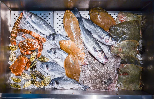 Ângulo alto Natureza morta da variedade de peixes frescos crus que refrigeram na cama do gelo frio na barraca do mercado dos frutos do mar — Fotografia de Stock