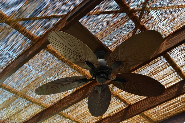 Tropical ceiling fan on patio roof