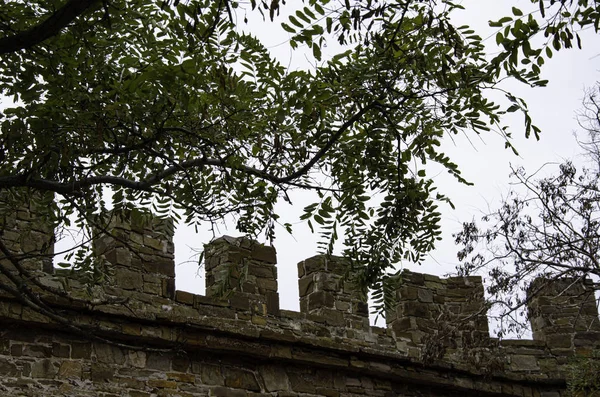 Větve Stromů Pozadí Zdi Staré Starobylé Pevnosti — Stock fotografie