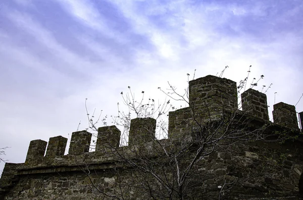 Eski Bir Kalenin Avlusunda Gül Kalçalar — Stok fotoğraf