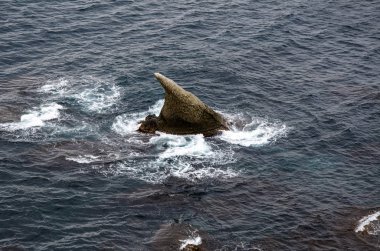 Keskin bir kaya, deniz yüzeyinin üzerinde bir köpekbalığı yüzgeci şeklinde çıkıyordu..