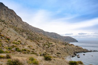  Dağ ağaçları. Taşlar, deniz ve dağ manzaraları. Seyahat ve macera.
