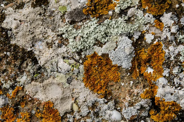 Текстура Гірської Поверхні Скелі Каміння Біля Узбережжя Моря — стокове фото