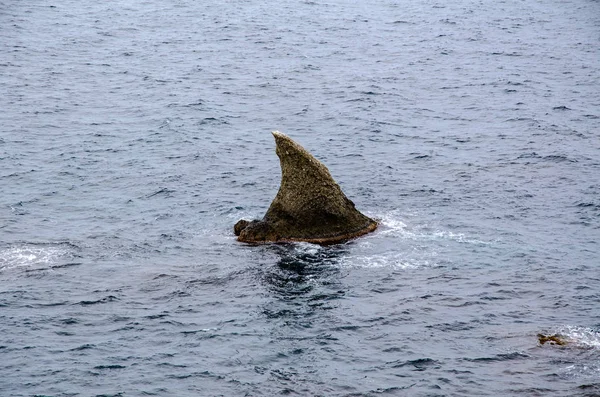Κοφτερή Πέτρα Προεξέχει Μορφή Πτερυγίου Καρχαρία Πάνω Από Την Επιφάνεια — Φωτογραφία Αρχείου