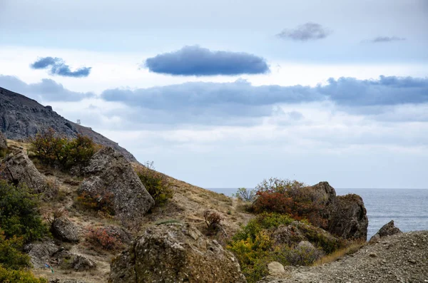 Dağ Ağaçları Taşlar Deniz Dağ Manzaraları Seyahat Macera — Stok fotoğraf