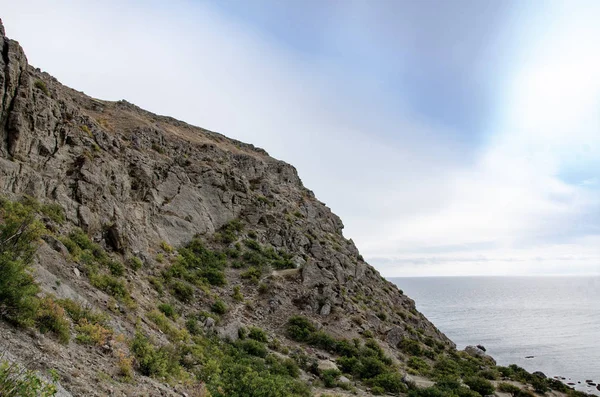 Dağ Ağaçları Taşlar Deniz Dağ Manzaraları Seyahat Macera — Stok fotoğraf