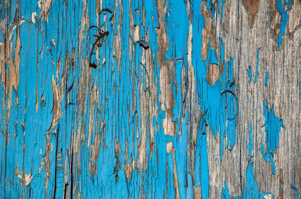 Old wooden door painted by blue paint. Background for design.