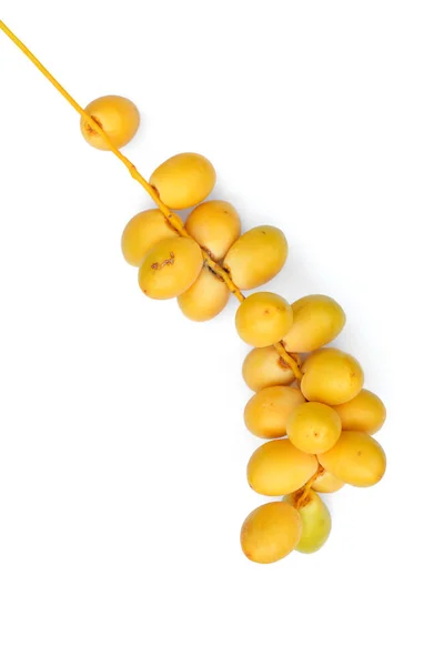 Gegevens palm fruit — Stockfoto