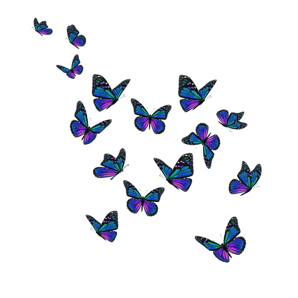 Krásný motýl monarcha — Stock fotografie
