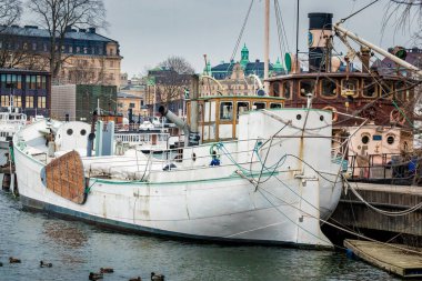 Bunlar ağaç dallarındaki eski ahşap gemiler..