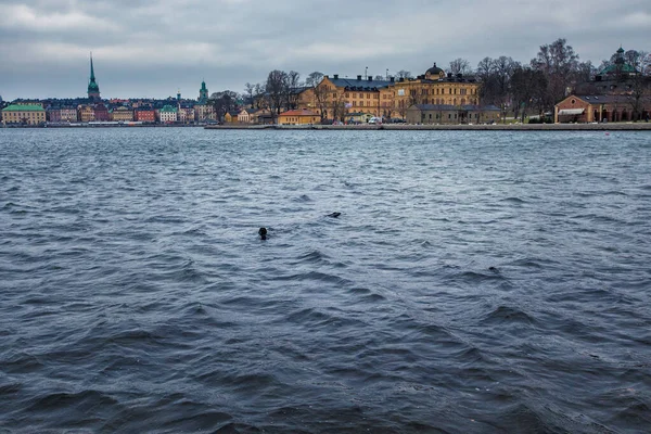 En sjunken vintage trä segelbåt och fartyg i vattnet — Stockfoto