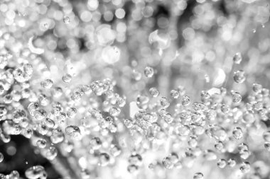 Su damlaları, makro görünümü.