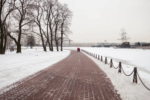 Neva Nehri, Peter ve Paul Fortress dolgu, Devlet Hermitage Müzesi arka planda kış görünümü