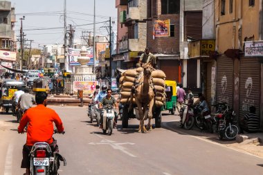 Bikaner, Hindistan - Mart 2018. Bikaner 'de sokak trafiği.