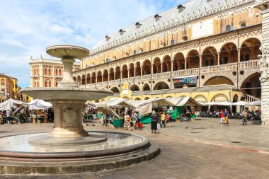 Padova, İtalya - Eylül 2018. Padova 'daki Erbe Meydanı' ndaki sebze pazarı (Piazza Delle Erbe).