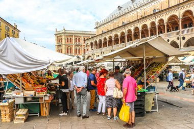 Padova, İtalya - Eylül 2018. Padova 'daki Erbe Meydanı' ndaki sebze pazarı (Piazza Delle Erbe).