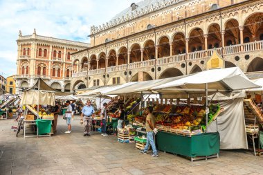Padova, İtalya - Eylül 2018. Padova 'daki Erbe Meydanı' ndaki sebze pazarı (Piazza Delle Erbe).
