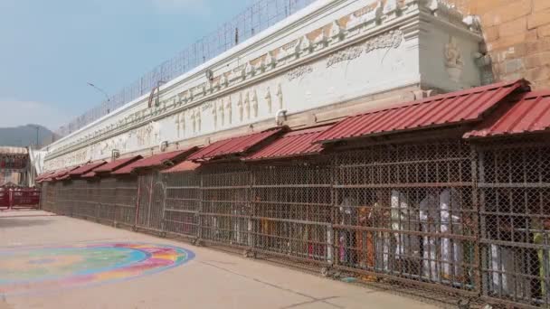Tirupati Índia Por Volta Dezembro 2019 Devotos Visitam Templo Balaji — Vídeo de Stock