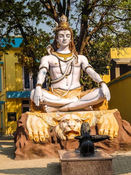 Rishikesh India Circa Marzo 2018 Estatua Shiva Sentada Meditación Ribera — Foto de Stock