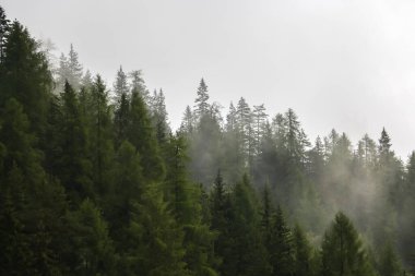 İtalya dağlarında bulutlu bir gün. Güney Tyrol bölgesindeki dağ manzarası.