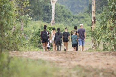 Geri izlerken fil yolcusu.