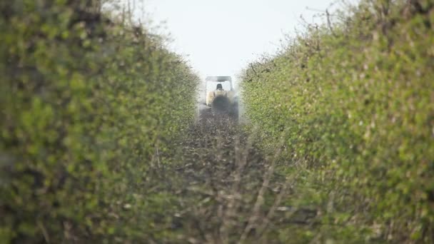 Sprayer besprüht Apfelplantage — Stockvideo