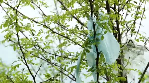 破れたビニール袋の残りは木の枝に頼る 環境汚染です 木の上のプラスチックこみ — ストック動画