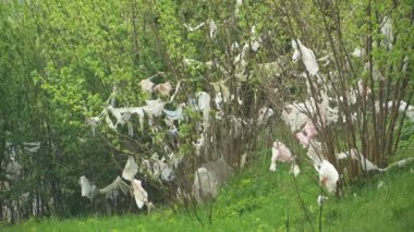 Çevre kirliliği. Ağaç üzerinde plastik çöp.