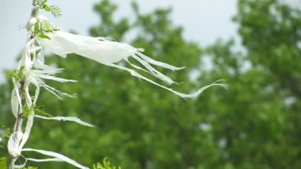 Overblijfselen Van Witte Plastic Zakken Groene Tak Zijn Zwaaiend Wind — Stockvideo