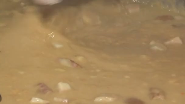 大きな鍋にベーコンと調理豆を混合大規模な調理器で調理 — ストック動画