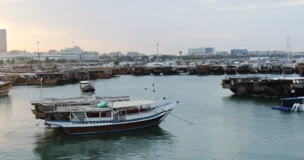 Doha Körfezi Katar Manzaralı Deniz Manzarası Geleneksel Akşamları — Stok video