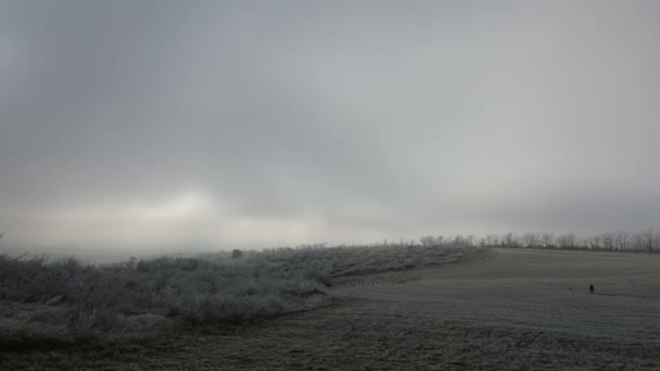 时光流逝的冬天 山顶上一片清澈 雾气弥漫 树枝结冰在树上 — 图库视频影像