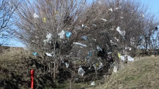 满地都是垃圾的田野和树木 满地都是垃圾和塑料袋 平底锅 — 图库视频影像