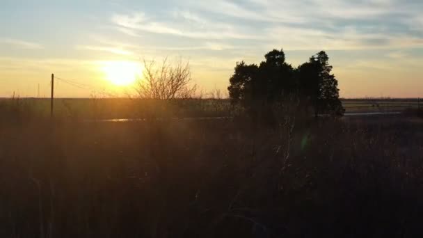 現場の夕日のパノラマ 背景に太陽の枝を通してドローンが撃つ — ストック動画