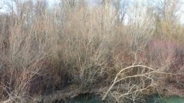 Nehir kıyısından kışın tarım alanlarının panoramasına insansız hava aracı atışı