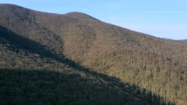 Ormanlık Tepelerin Üzerinde Sağdan Uçuyor Ağaçlık Tepelerin Üzerinden Uçuyor — Stok video