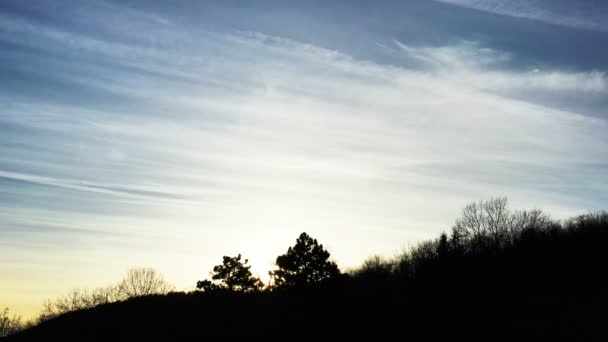 Die Sonne Hinter Zwei Kiefern Auf Dem Hügel Drohnenschuss Steigt — Stockvideo