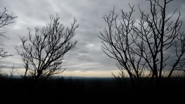 冬天云层和树木的戏剧性的时差 — 图库视频影像