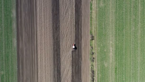 上からの眺めトラクターが畑を耕し 播種のための土地を準備します 空中展望 農地の土地を準備トラクターで農民 トラクターはフィールドを耕す — ストック動画